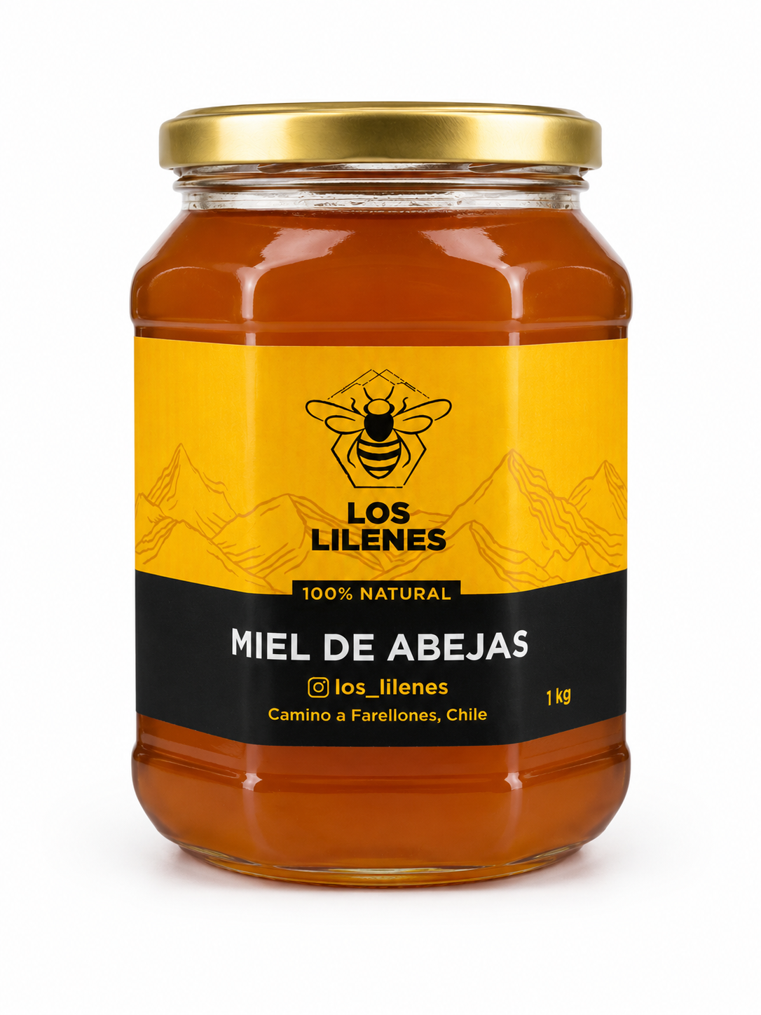 Miel de Farellones 1Kg