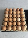Huevos 30 unidades