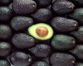 Palta hass Chilena 1Kg