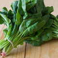 Espinaca 500G