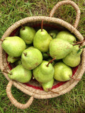Peras 1Kg