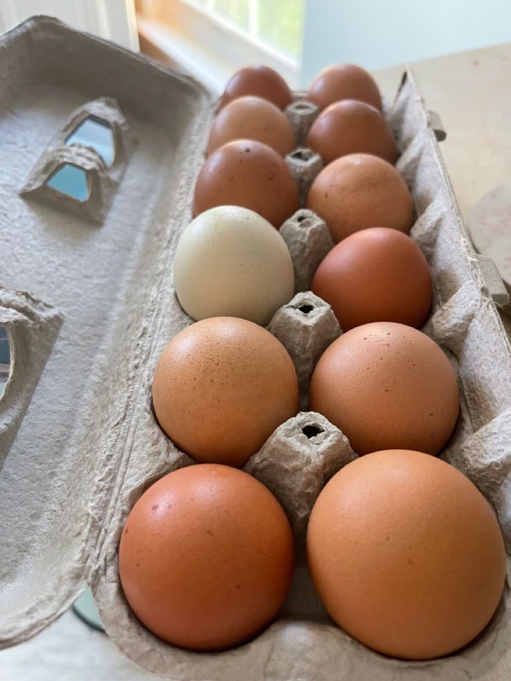 Huevos 12 unidades