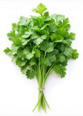 Cilantro 1 Unidad
